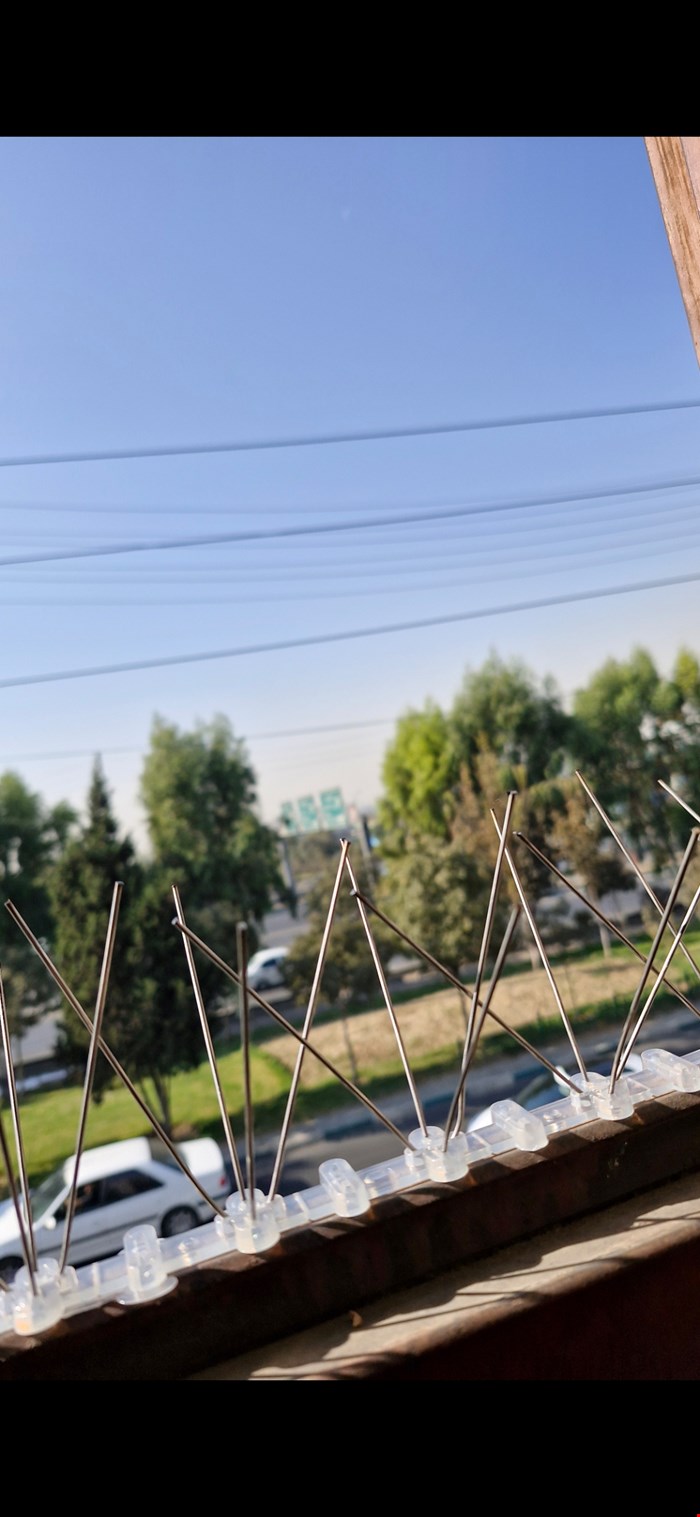 شاخک پرنده پران استیل 40 شاخه ۵۰ سانتی